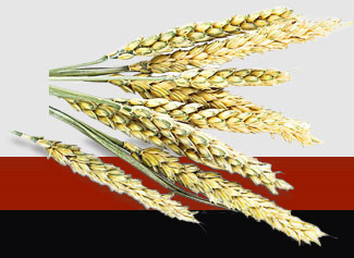 万利官网-相信品牌力量