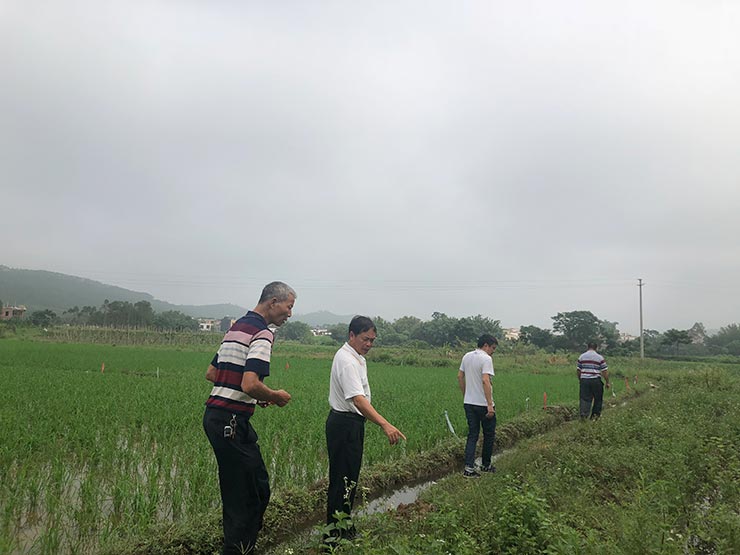 万利官网-相信品牌力量