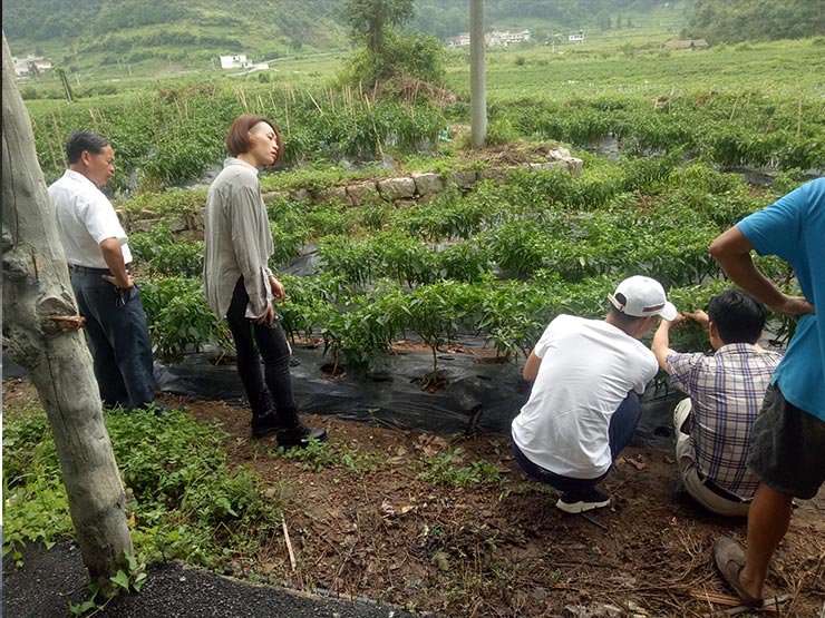万利官网-相信品牌力量