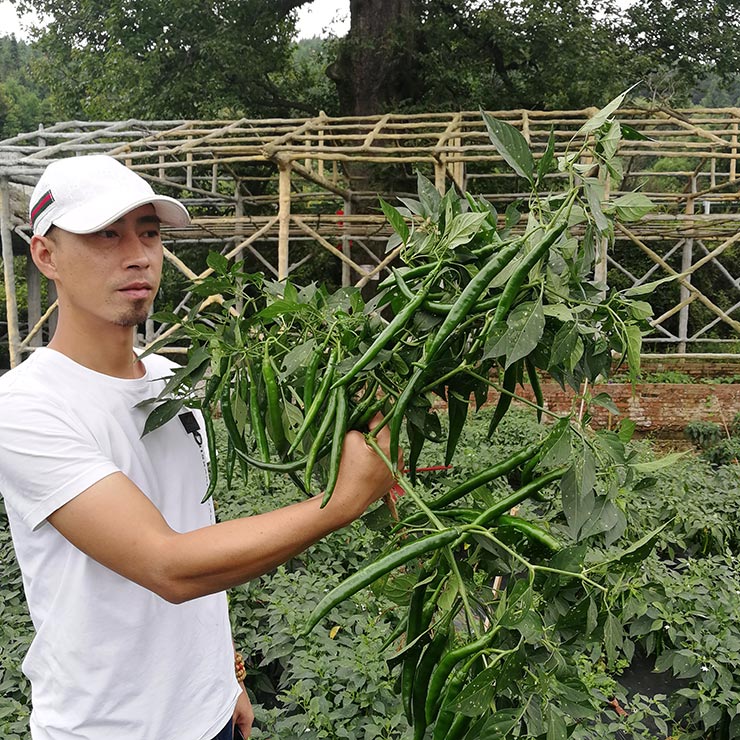 万利官网-相信品牌力量