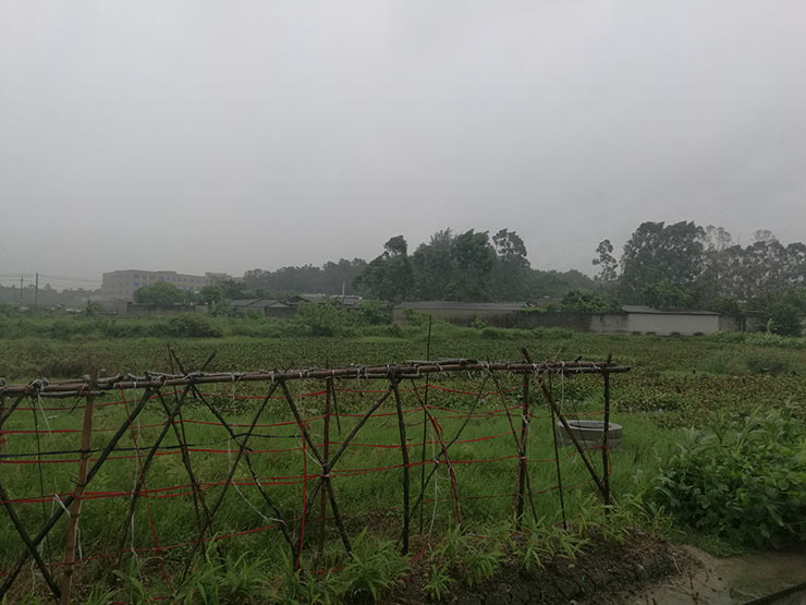 万利官网-相信品牌力量