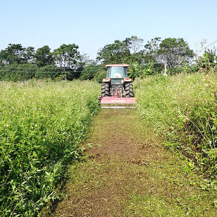 万利官网-相信品牌力量