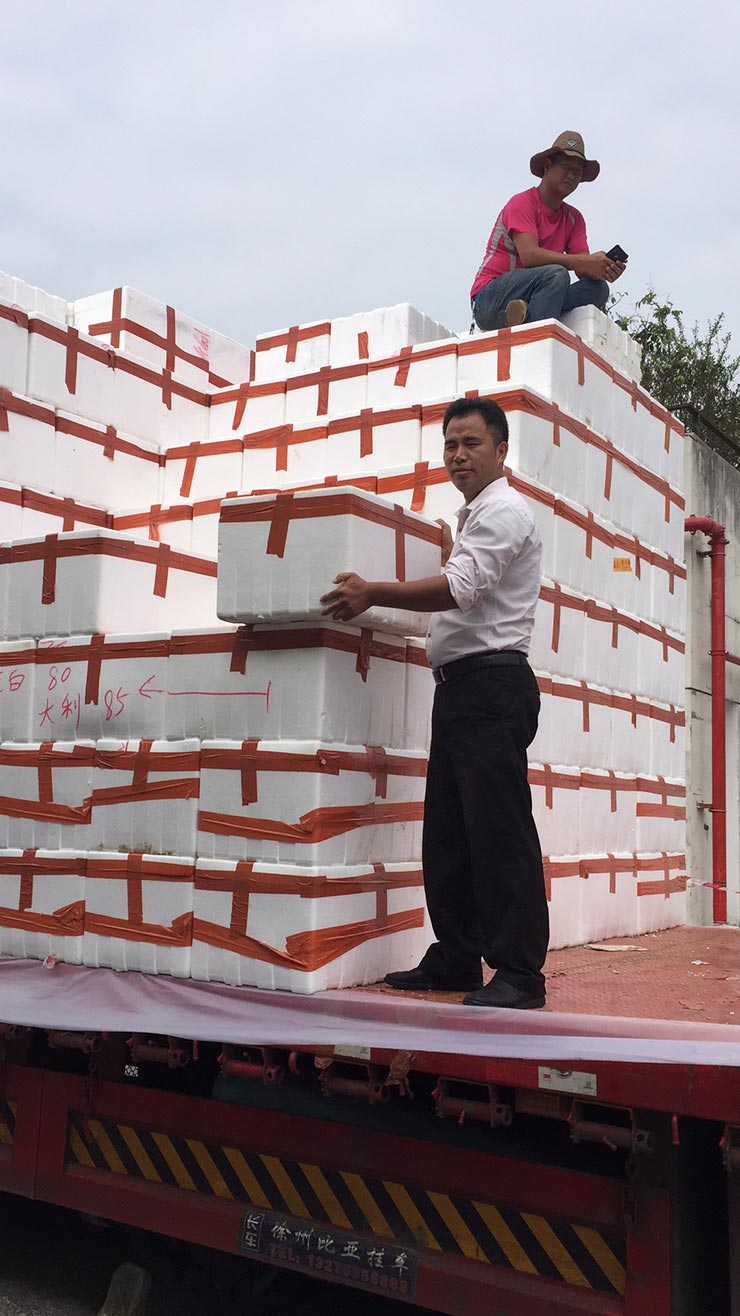 万利官网-相信品牌力量