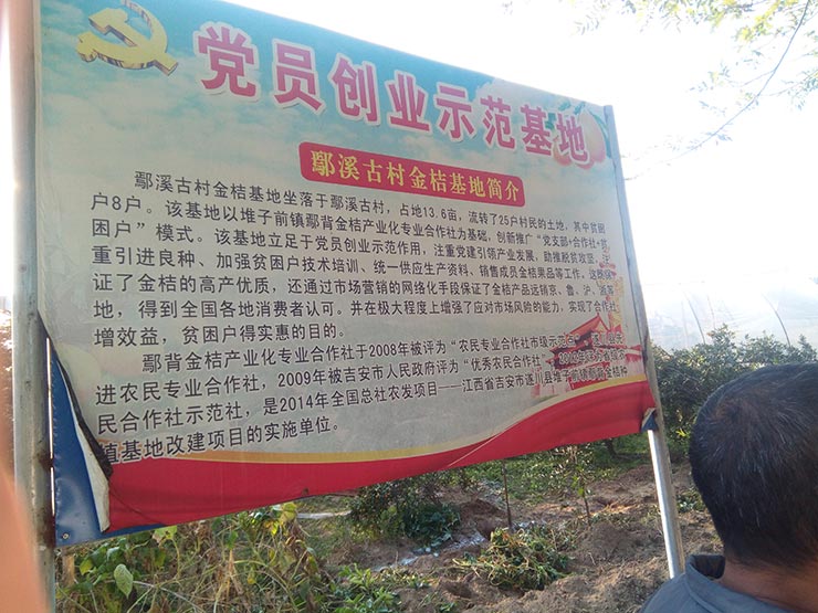 万利官网-相信品牌力量