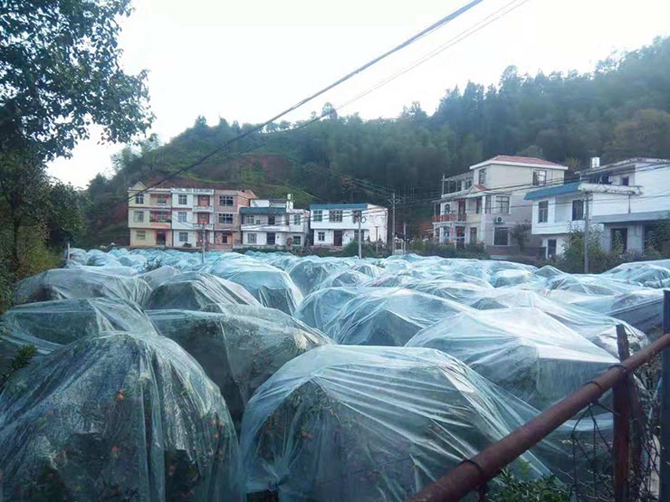 万利官网-相信品牌力量