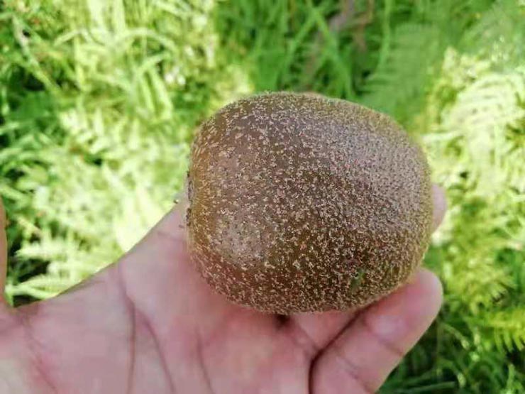 万利官网-相信品牌力量