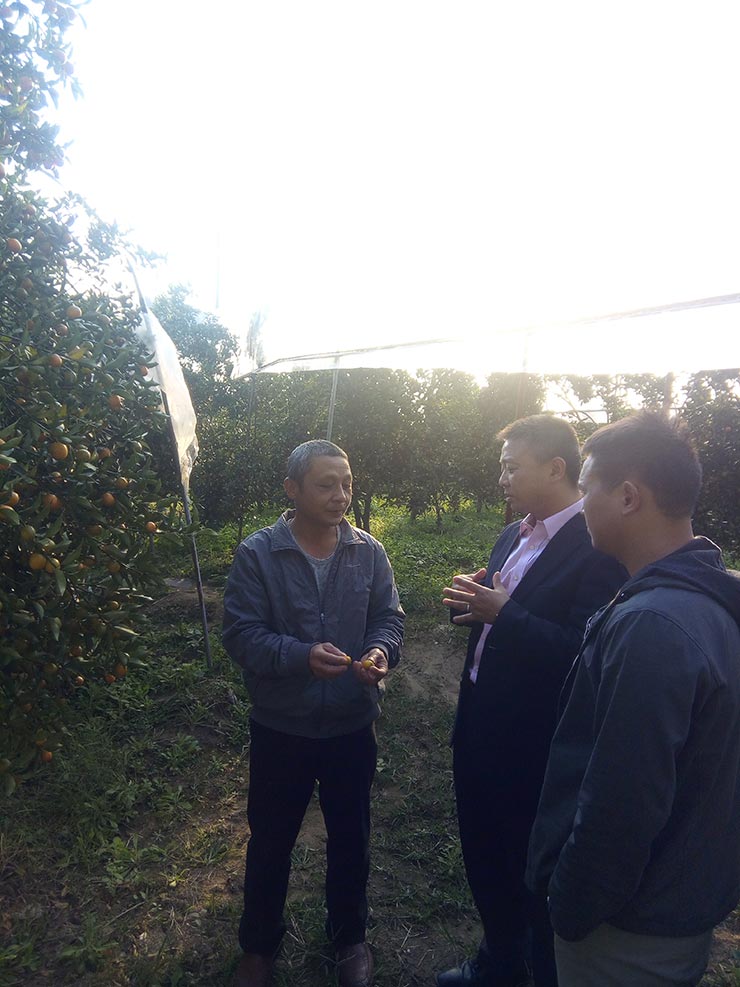 万利官网-相信品牌力量