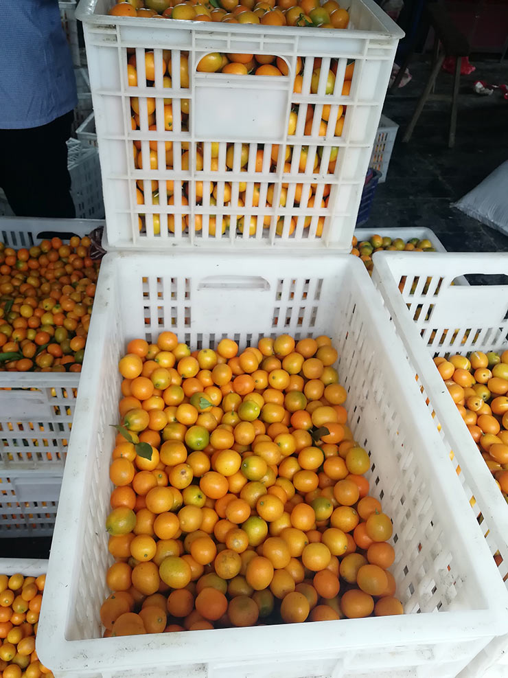 万利官网-相信品牌力量