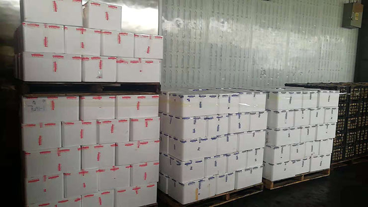 万利官网-相信品牌力量