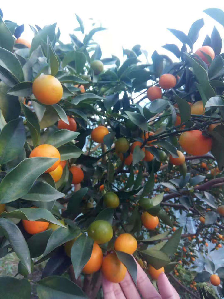 万利官网-相信品牌力量