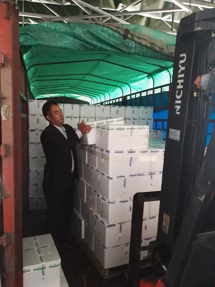 万利官网-相信品牌力量