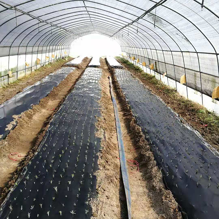 万利官网-相信品牌力量