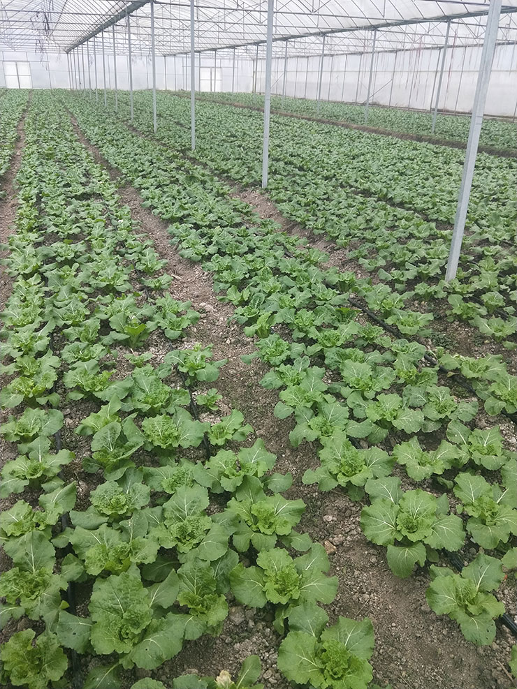 万利官网-相信品牌力量