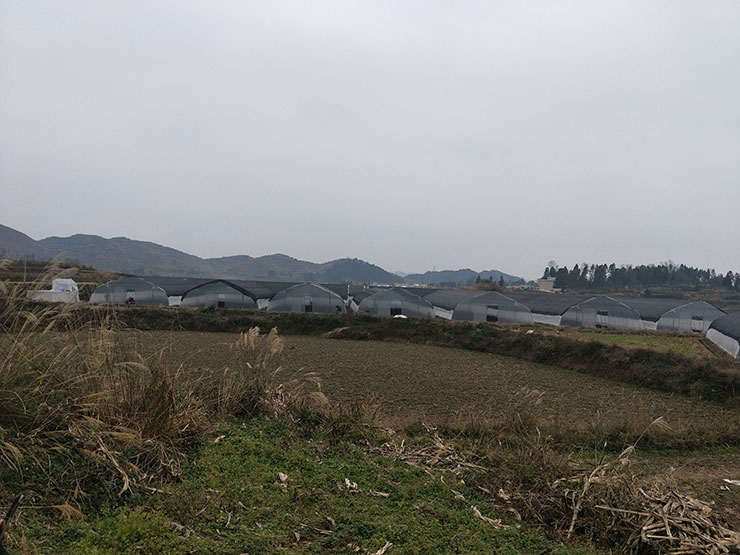 万利官网-相信品牌力量