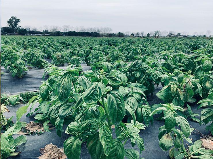 万利官网-相信品牌力量
