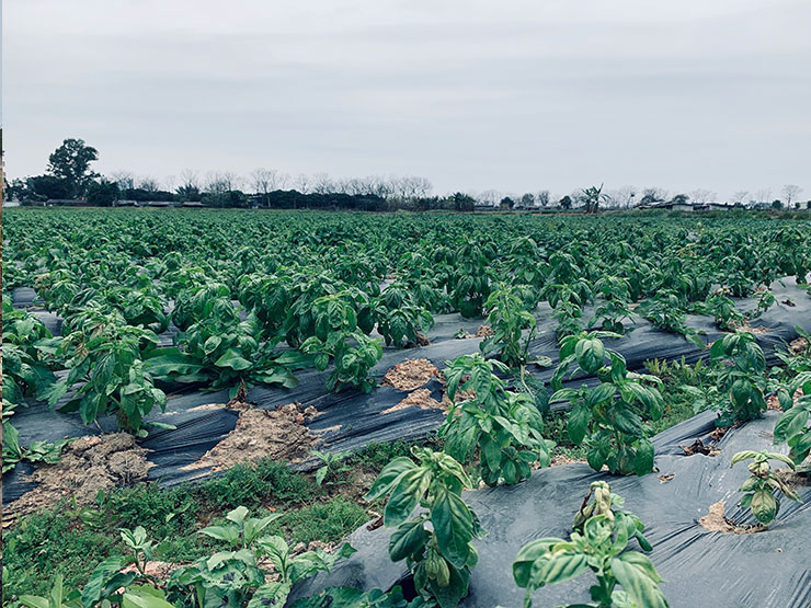 万利官网-相信品牌力量