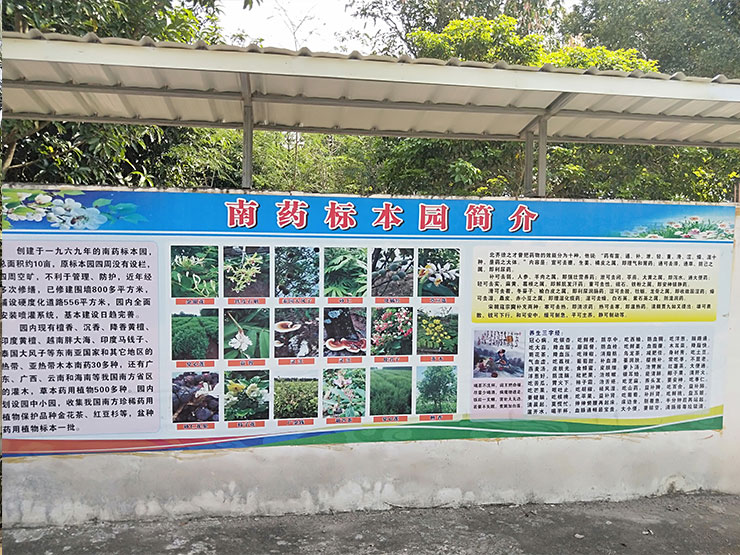 万利官网-相信品牌力量