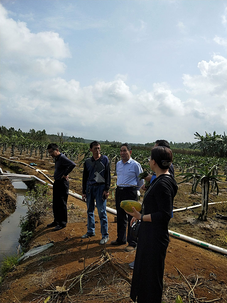 万利官网-相信品牌力量