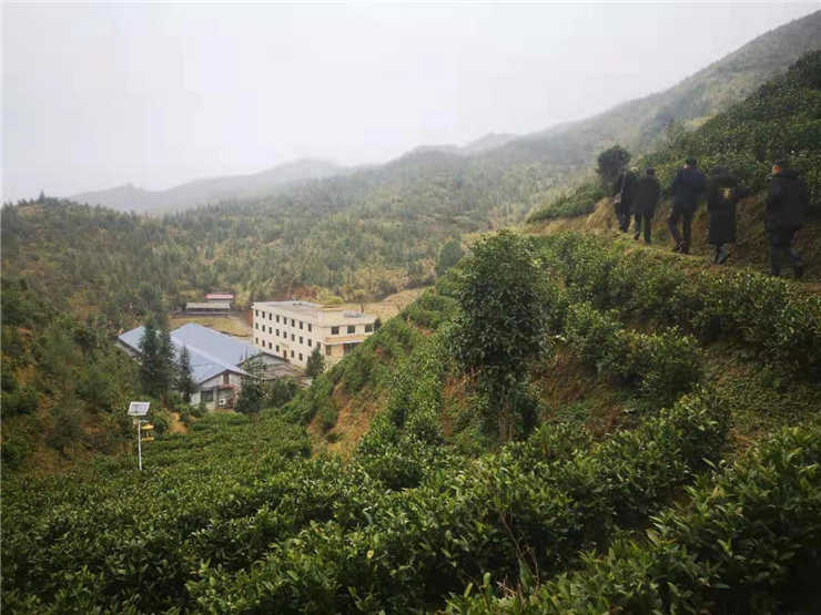 万利官网-相信品牌力量