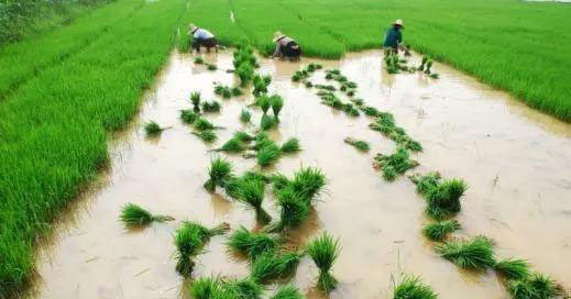 万利官网-相信品牌力量