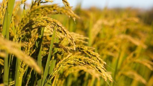 万利官网-相信品牌力量