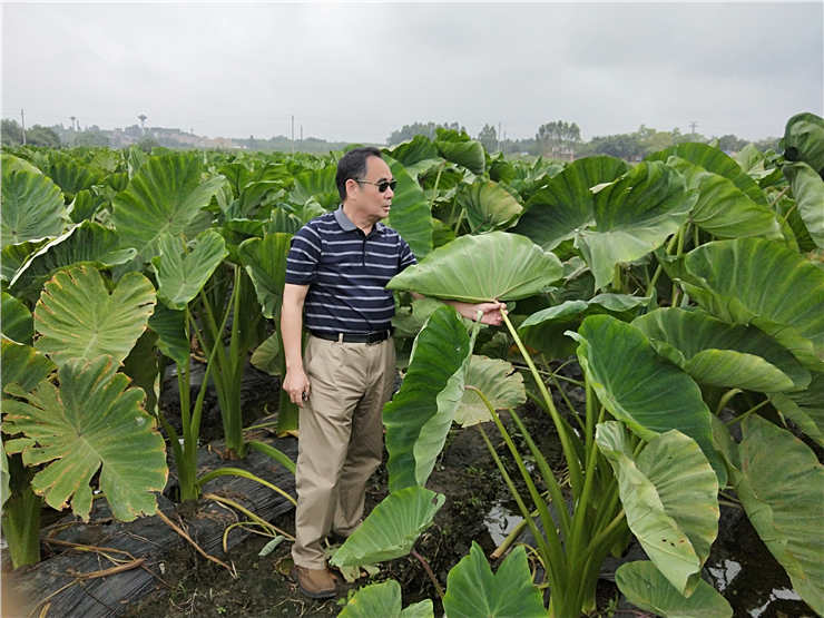 万利官网-相信品牌力量