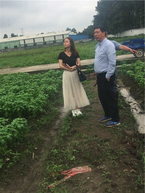 万利官网-相信品牌力量