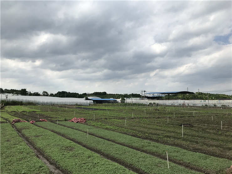 万利官网-相信品牌力量