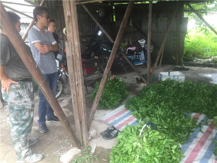 万利官网-相信品牌力量