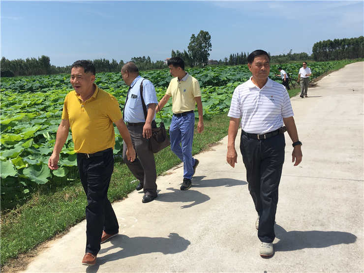 万利官网-相信品牌力量