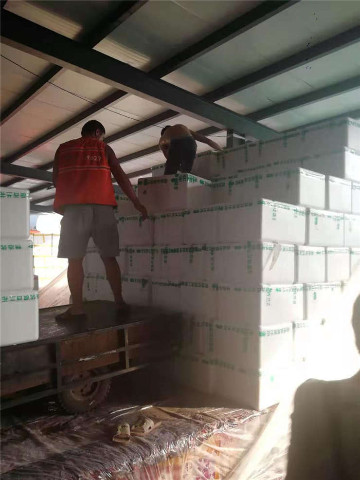 万利官网-相信品牌力量