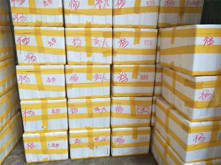 万利官网-相信品牌力量