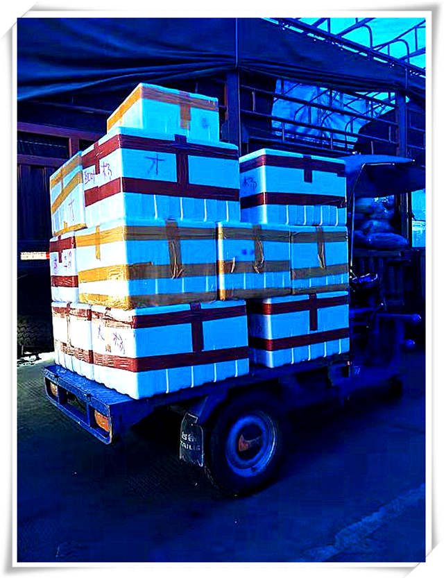 万利官网-相信品牌力量