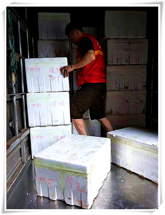 万利官网-相信品牌力量