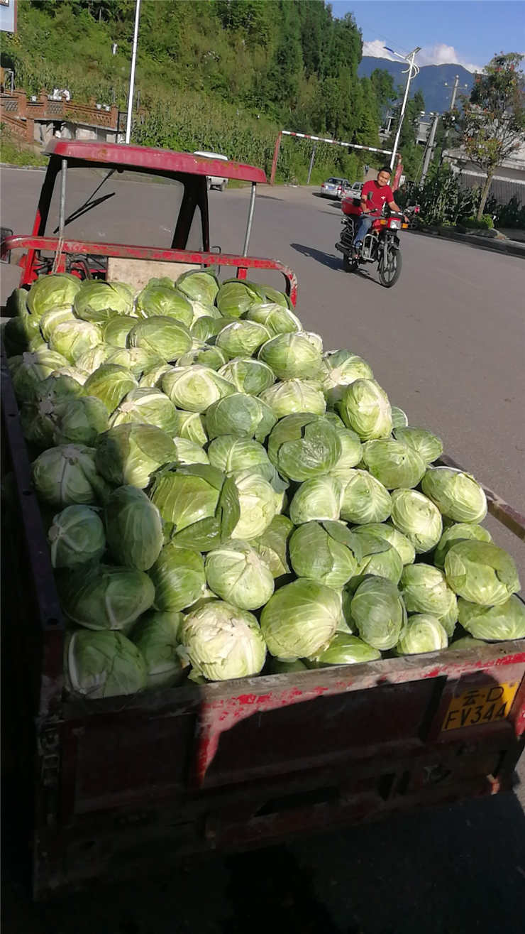 万利官网-相信品牌力量