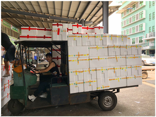 万利官网-相信品牌力量