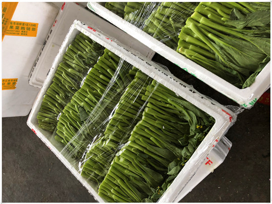 万利官网-相信品牌力量