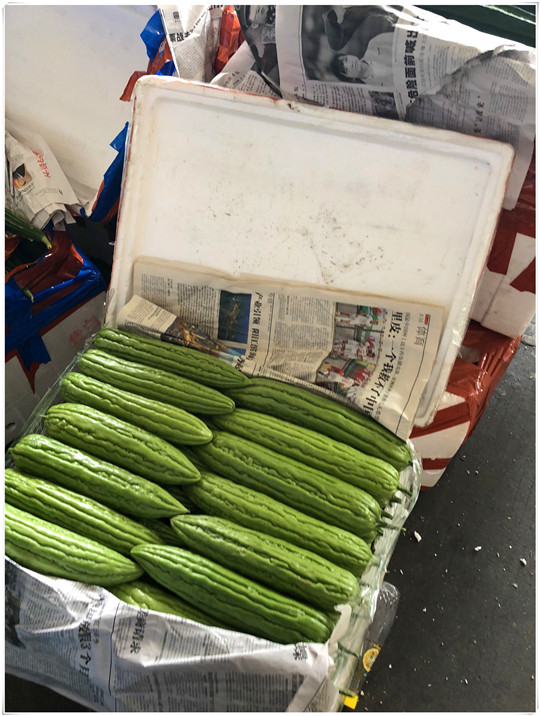 万利官网-相信品牌力量