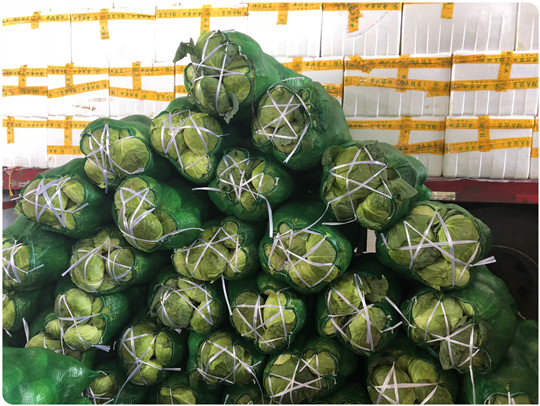 万利官网-相信品牌力量