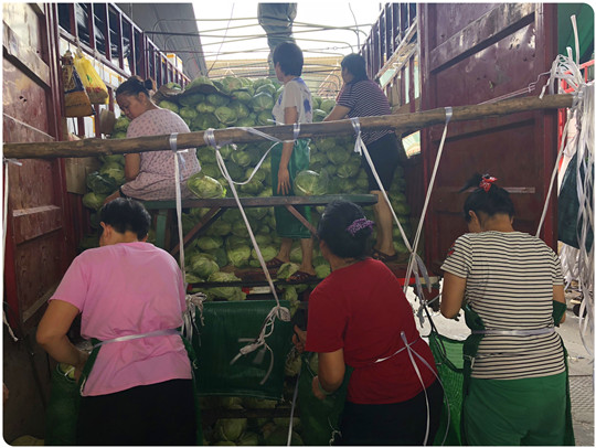 万利官网-相信品牌力量