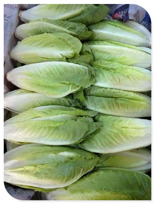 万利官网-相信品牌力量