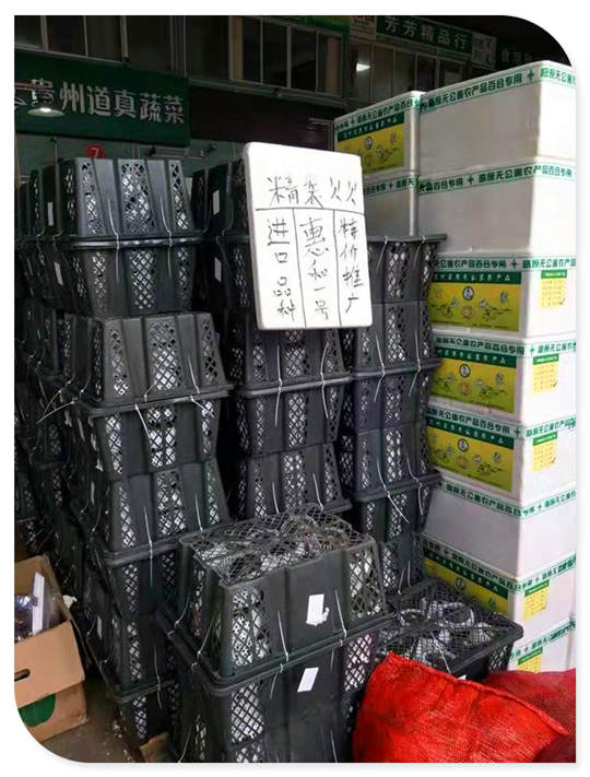 万利官网-相信品牌力量