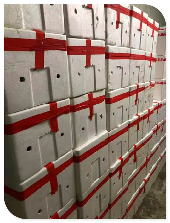 万利官网-相信品牌力量