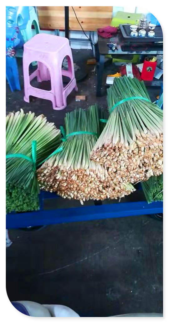 万利官网-相信品牌力量