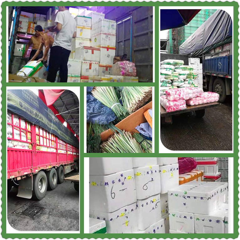 万利官网-相信品牌力量