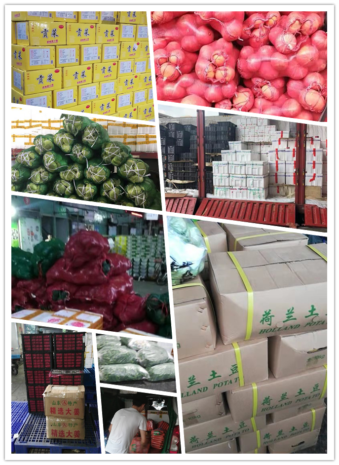 万利官网-相信品牌力量