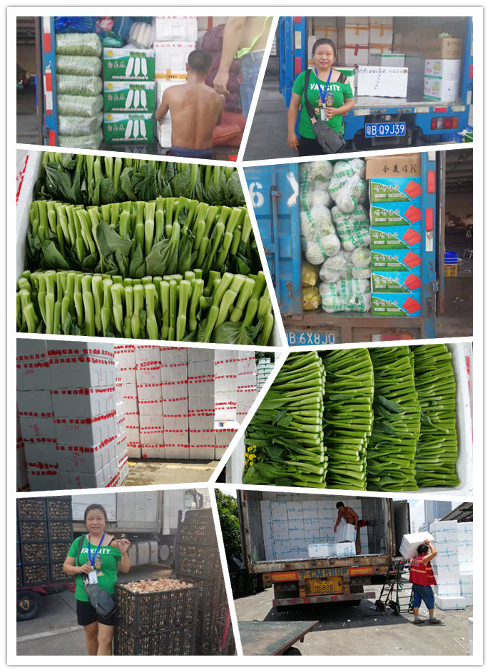 万利官网-相信品牌力量