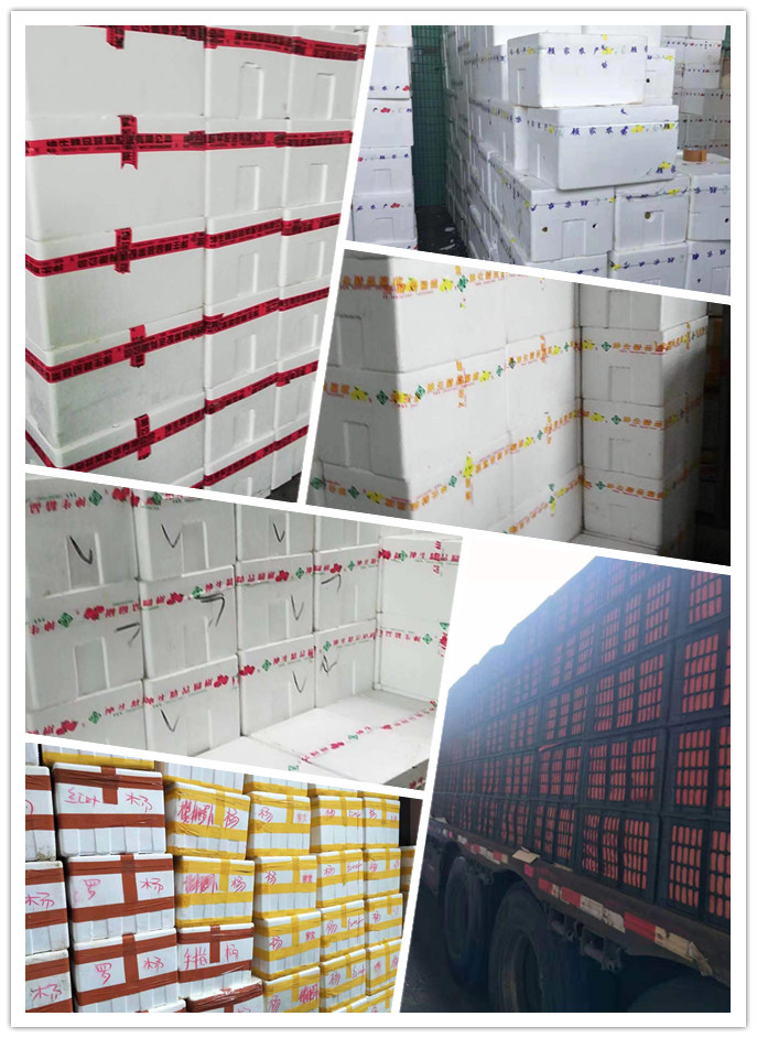 万利官网-相信品牌力量