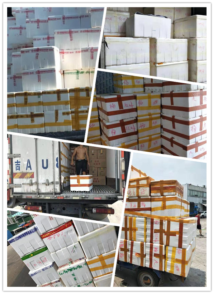 万利官网-相信品牌力量