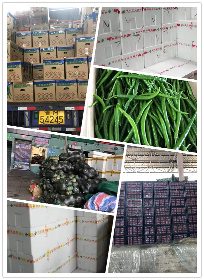 万利官网-相信品牌力量